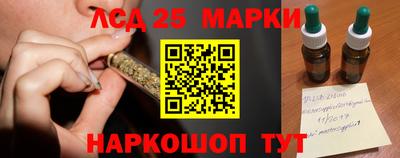 Альфа ПВП Моздок