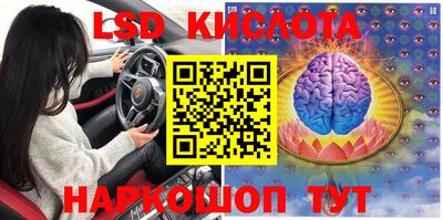 индика Можга