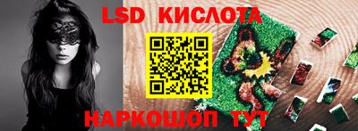 индика Можга