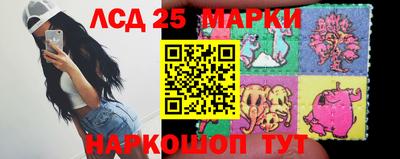 индика Можга