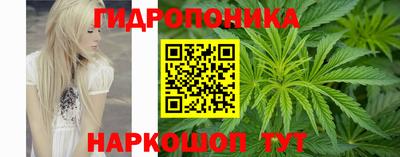Альфа ПВП Моздок