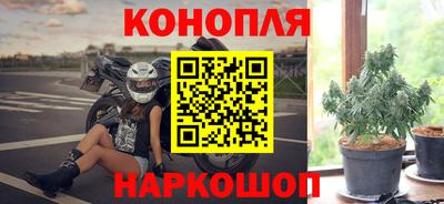 Альфа ПВП Моздок