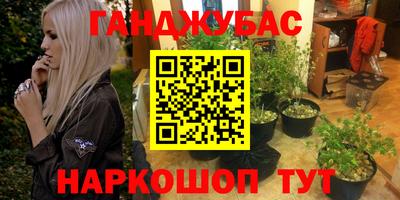 Альфа ПВП Моздок