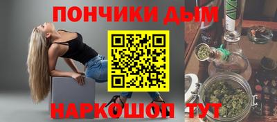 индика Можга