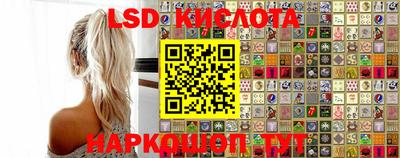 индика Можга