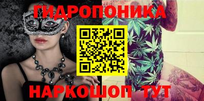 Альфа ПВП Моздок